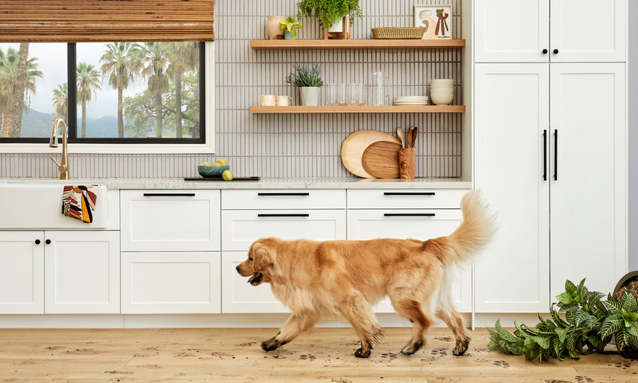 The BOXI Test Kitchen